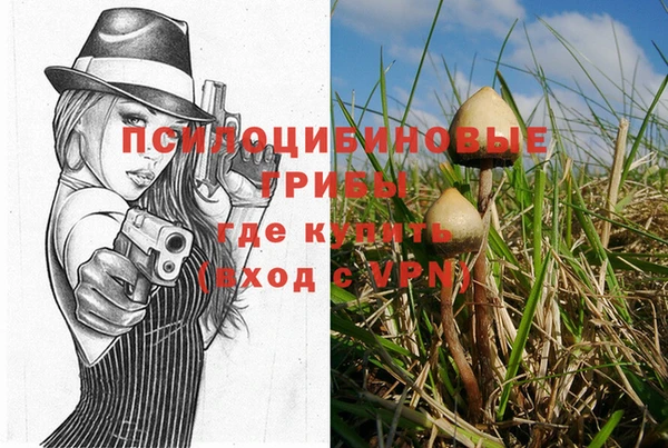 синтетический гашиш Арсеньев