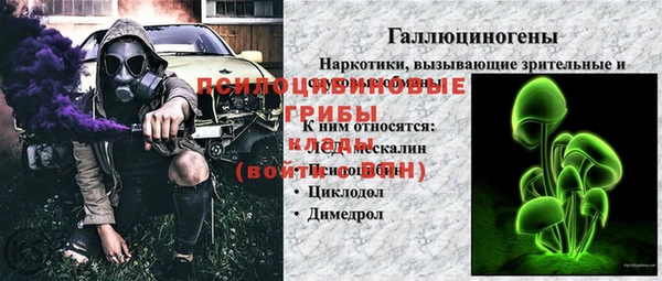 стафф Армянск