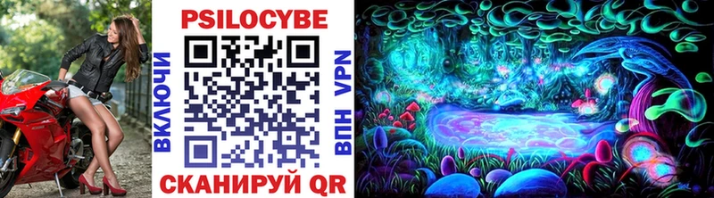 Псилоцибиновые грибы прущие грибы  Каменногорск 