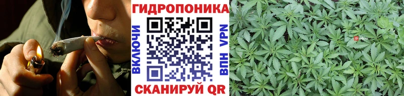 Конопля марихуана Каменногорск