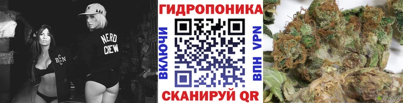 Шишки марихуана MAZAR  Каменногорск 